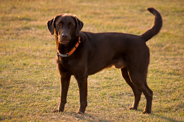 091020-0359