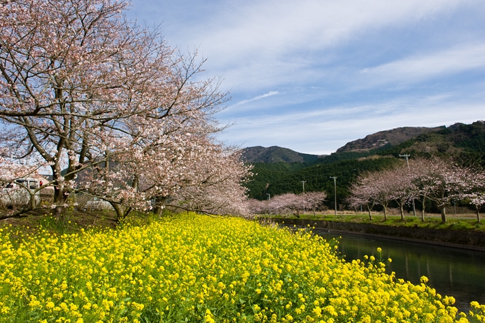 20100326-2207