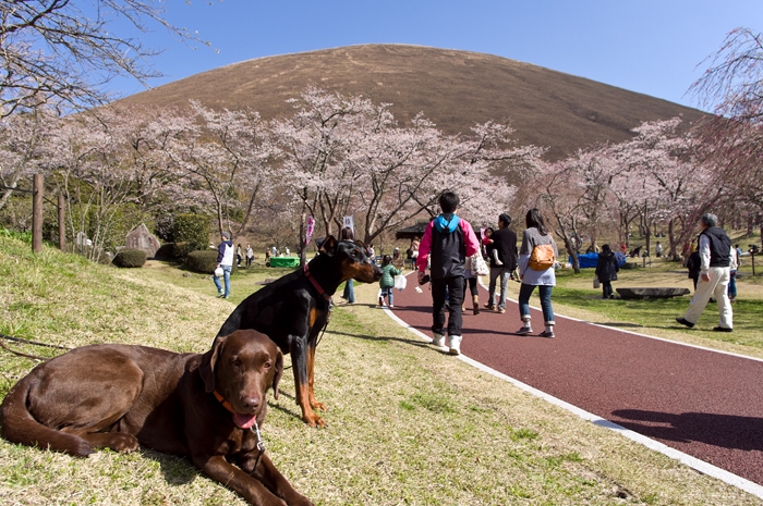 20100403-8093