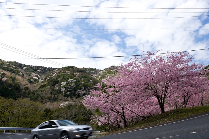 20100408-6987