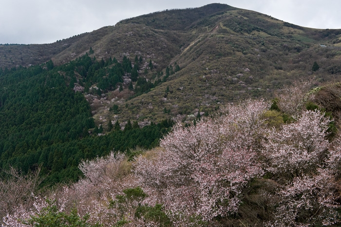 20100421-7282