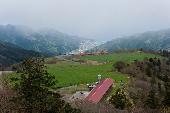 20100421-7303
