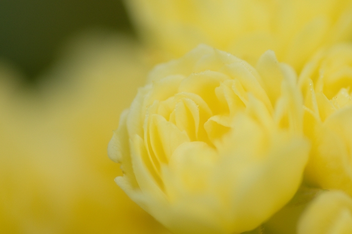 20100518-9929