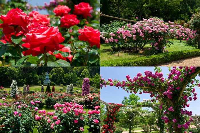 20100601-2139