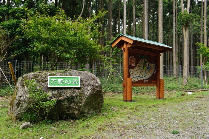20100601-2468