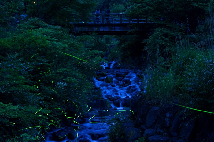 20100607-0449