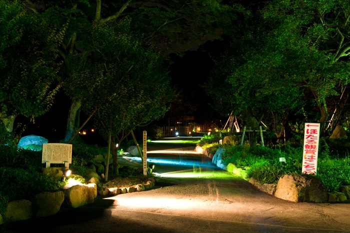 20100607-3891