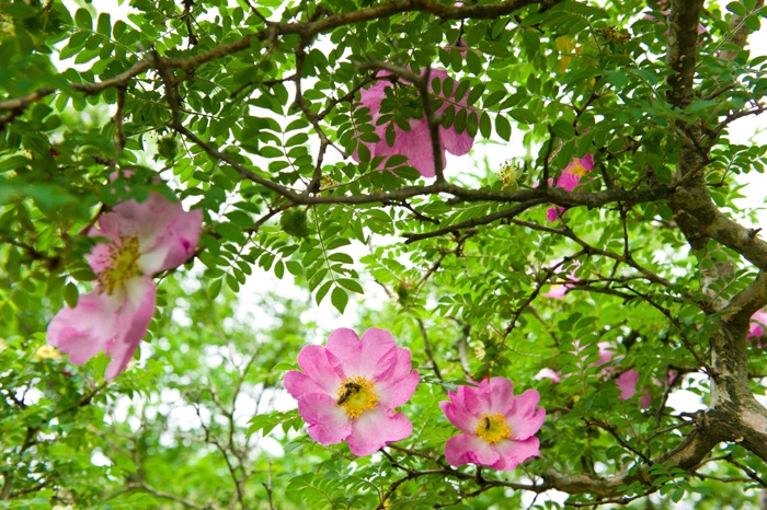 20100613-5059