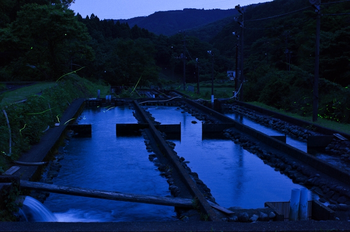 20100618-1508
