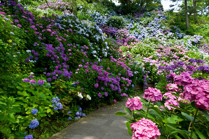20100629-6673