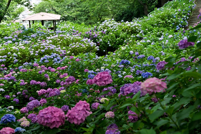 20100629-6793