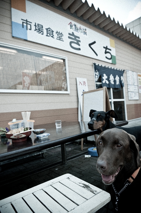 20101006-DA2_1112