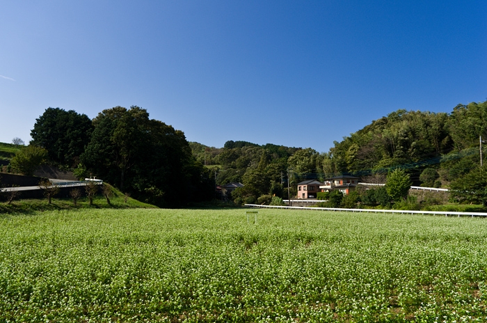 20101018-IMGP0347