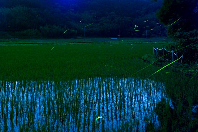 imgp9207