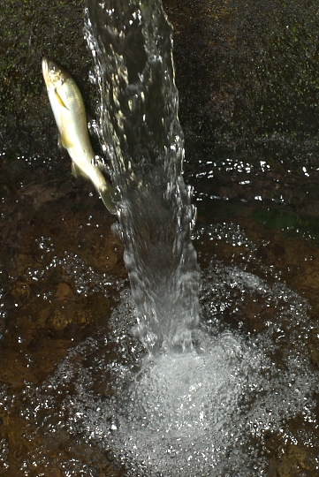 imgp9440